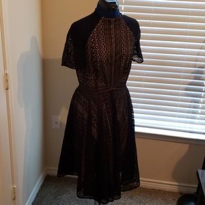 Alex Marie lined black lace dress (6)